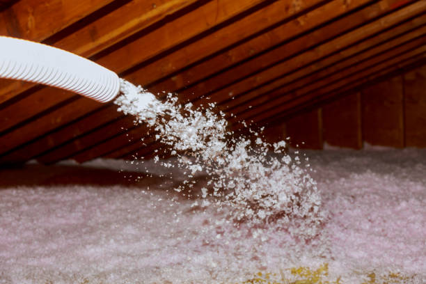 Best Blown-in Insulation in Troy, TX